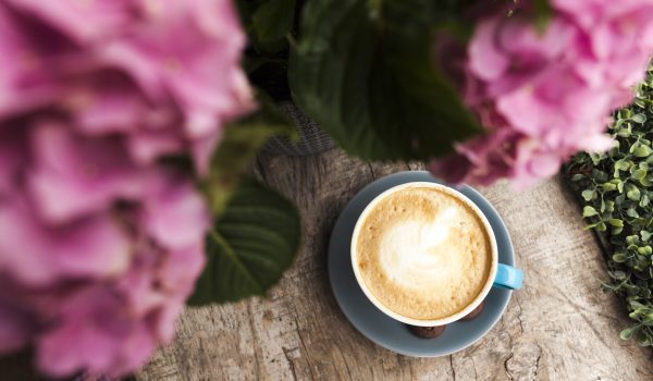 draufsicht-der-rosa-blume-und-des-geschmackvollen-kaffees-mit-schaumigem-schaum-auf-holzoberflache